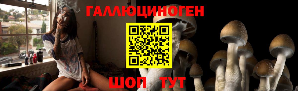 Галлюциногенные грибы Magic Shrooms Малгобек